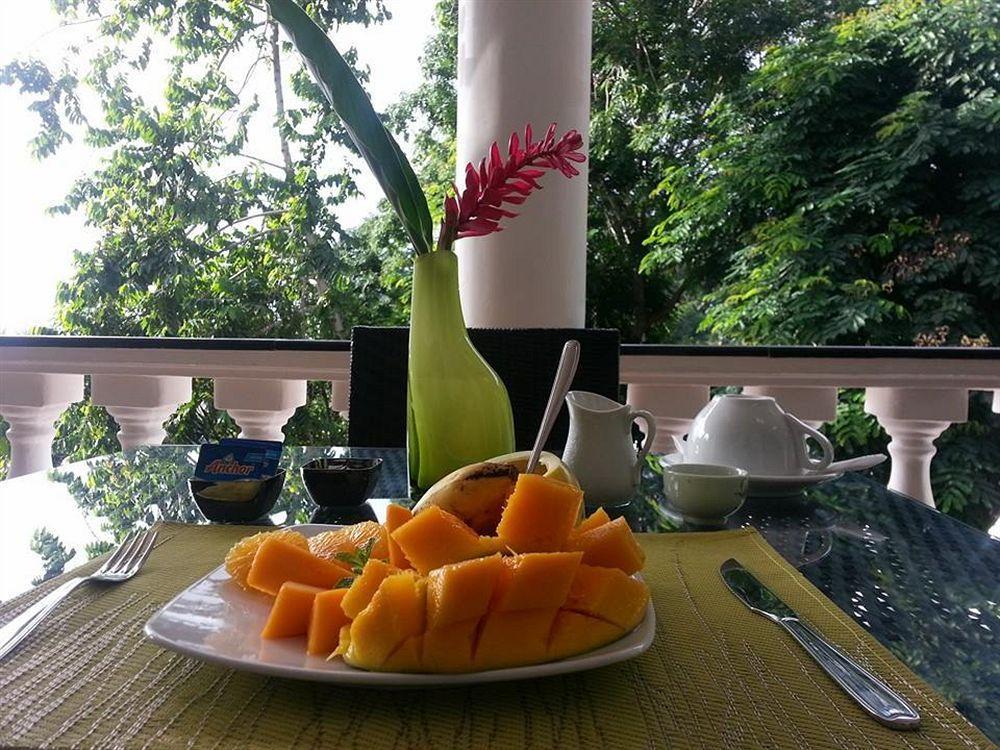 Albizia Lodge Green Estate Pointe Au Sel المظهر الخارجي الصورة